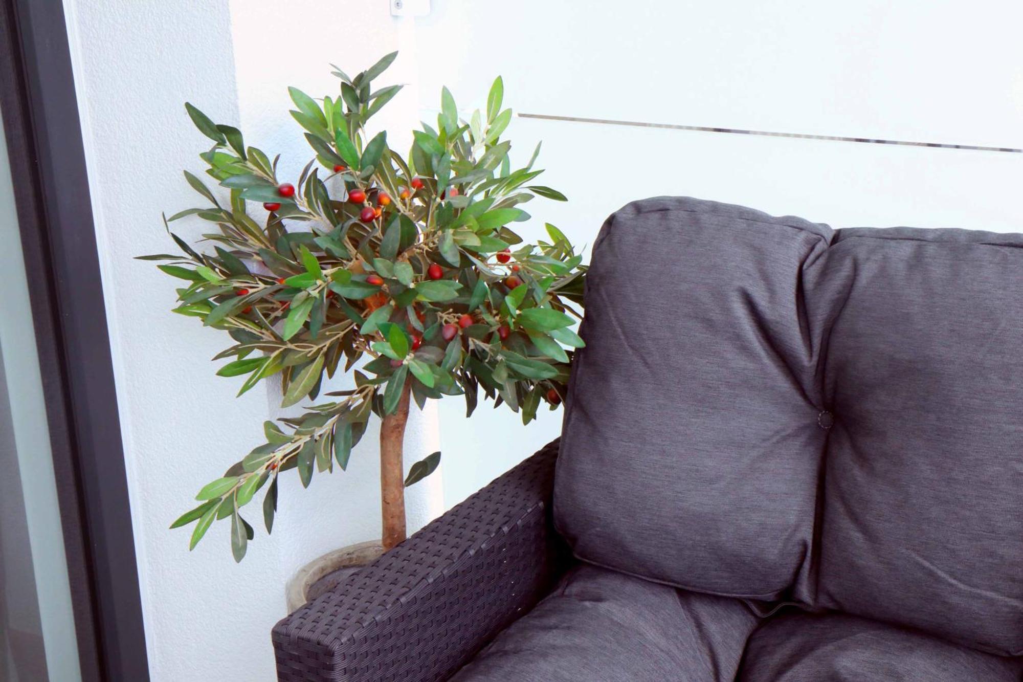 Apartament Heidi-apartament Kołobrzeg